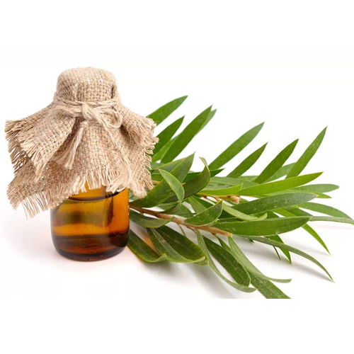 Olio di Tea Tree Exodermin